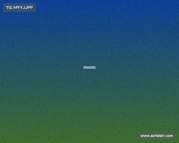 篮球比赛照片名称